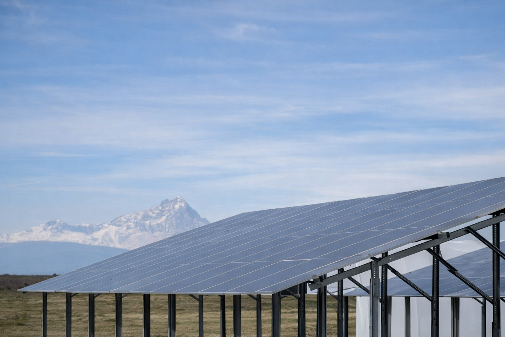 Impianto agrivoltaico